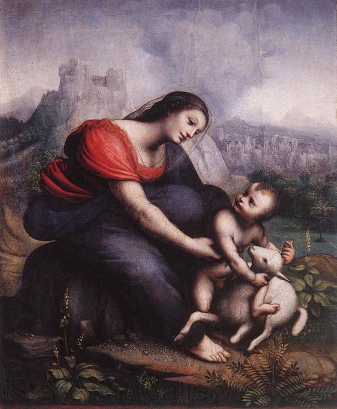 Cesare da Sesto Madonna and Child with the Lamb of God